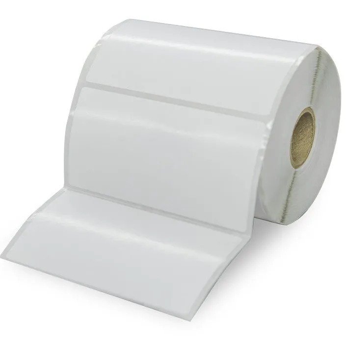 Whatsapp image 2026 01 08 at 16.10.43