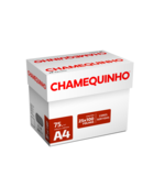 Papel A4 210x297 Desenho 75g Cx c/ 25 Pct 100fls Cores Sortidas Chamequinho